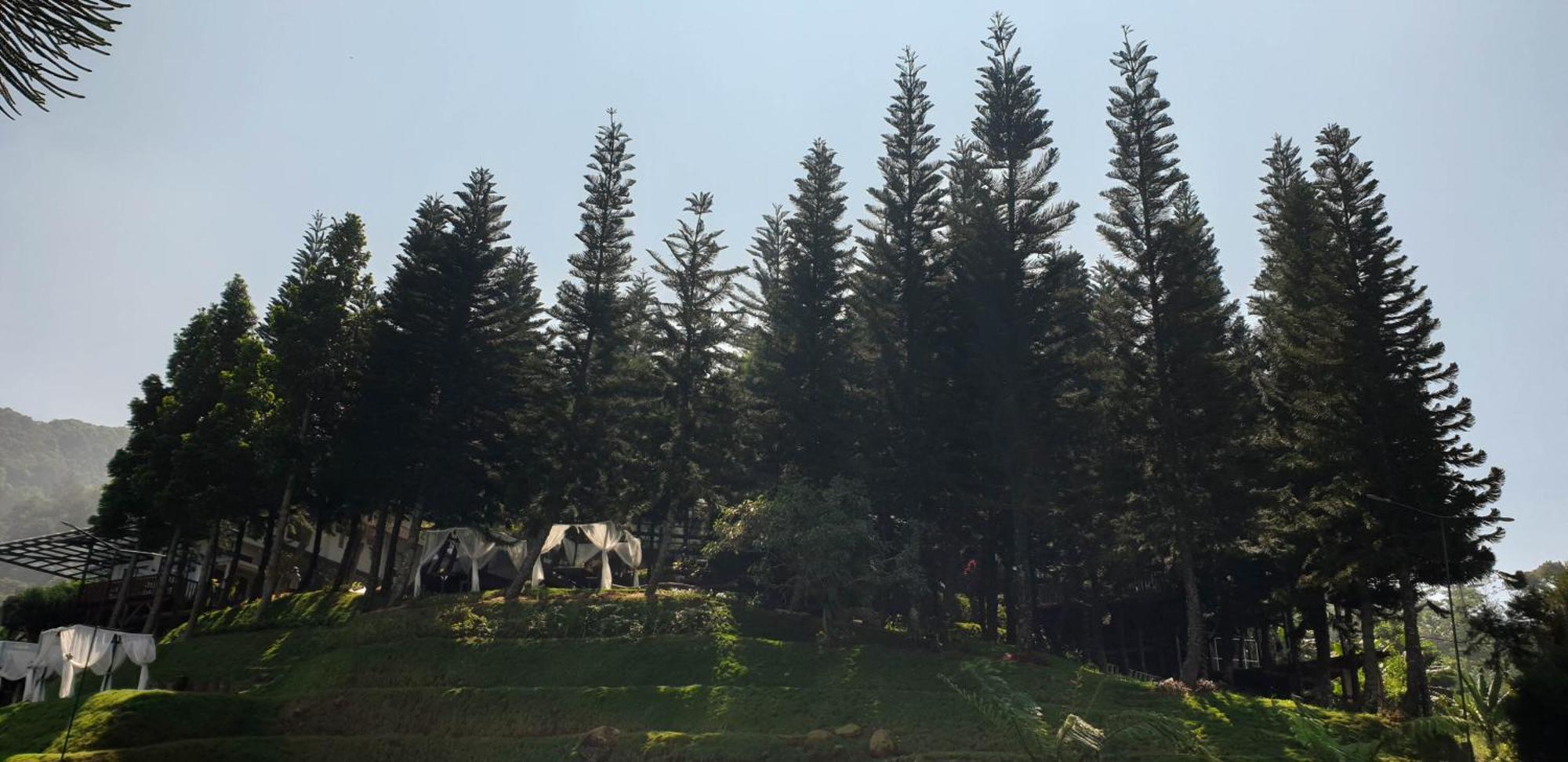 Damar Langit Resort Cisarua Luaran gambar